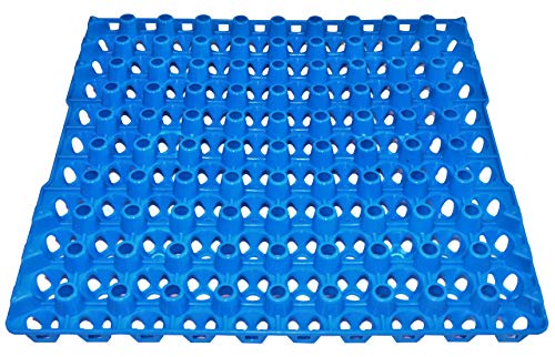 6 RITE FARM PRODUCTS 90 Egg Plastic Trays for Quail Pigeon Dove Bird Flat Carton