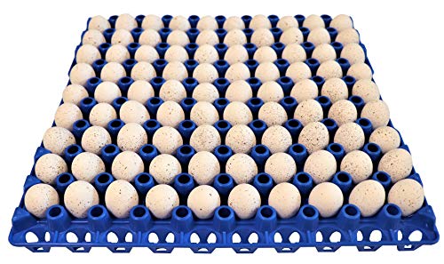 Rite Farm Products 12 90 Egg Plastic Trays Quail Pigeon Dove Bird Flat Carton