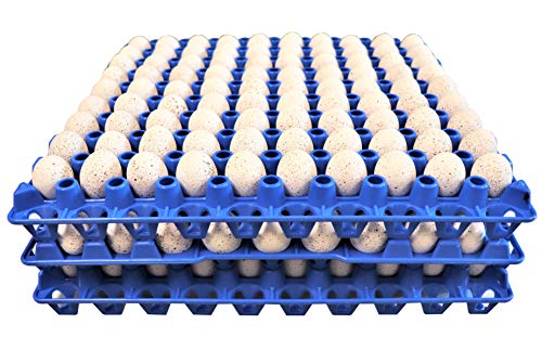 Rite Farm Products 12 90 Egg Plastic Trays Quail Pigeon Dove Bird Flat Carton