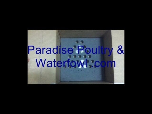 Foam Quail egg shippers,shipping supplies,foam shippers,hatching quail 