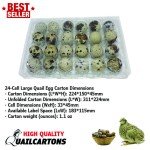 LARGE Jumbo Quail Egg Cartons 24 Egg Cell (4x6 with 33*45 Cell) For Larger Eggs
