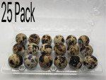 25 Pack Quail Jumbo Egg Cartons 18 Egg Cell Fast Free Shipping