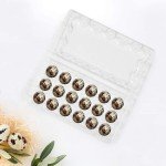 25 Pack Quail Jumbo Egg Cartons 18 Egg Cell Fast Free Shipping