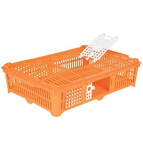 Bird Transport Cages