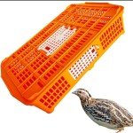 Brand new plastic quality quail small bird transport shipping crate cage