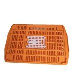 Brand new plastic quality quail small bird transport shipping crate cage