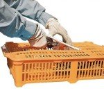 Brand new plastic quality quail small bird transport shipping crate cage