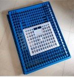 3x BLUE CHICKEN TRANSPORT 4H SHOW CAGE COOP CRATE CHICKEN QUAIL PIGEONS 3 DOOR