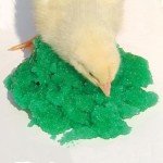 GROGEL Plus B 100 Dose - 10 Packs