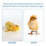 Shitailu 100 Pieces Baby Chicken Splay Leg Hobble Brace Adjustable Poultry Leg Bands for Newborn Spraddle Leg of Chick Bird Quails Ducks of 1 to 3 Days Newly Hatched
