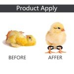 50 Pcs Baby Chick Splay Leg Hobble Chicken Leg Bands Adjustable Hobbling Chicken Hobble Braces for Spraddle Leg Repair Poultry Care Supplies for Chick Bird Quails Ducks Newly Hatched (Black)