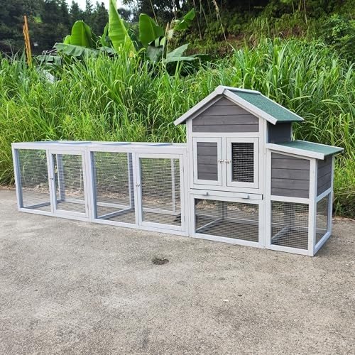 Cage, Coop & Enclosures