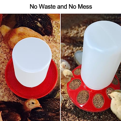 Automatic Chick Feeder and Waterer Kit