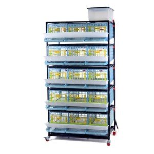 Quail Breeding Cage Indoor: 5 Layer Stackable Quail Coops, Quail Pens Easy Clean, Rust-Free, Easy Egg Collection (2024 Upgrades: Longer Waste Trays, Removable Middle Walls) Cimuka by Hatching Time