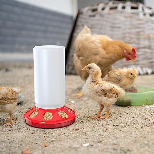Automatic Chick Feeder and Waterer Kit