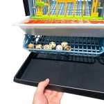 Quail Breeding Cage Indoor: Layer Addition Quail Coops, Quail Pens Easy Clean, Rust-Free, Easy Egg Collection (2024 Upgrades: Longer Waste Trays, Removable Middle Walls) Cimuka by Hatching Time