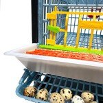 Quail Breeding Cage Indoor: Layer Addition Quail Coops, Quail Pens Easy Clean, Rust-Free, Easy Egg Collection (2024 Upgrades: Longer Waste Trays, Removable Middle Walls) Cimuka by Hatching Time