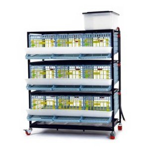 Quail Breeding Cage Indoor: 3 Layer Stackable Quail Coops, Quail Pens, Easy Clean, Rust-Free, Easy Egg Collection (2024 Upgrades: Longer Waste Tray, Removable Middle Walls) Cimuka by Hatching Time