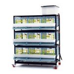 Quail Breeding Cage Indoor: 3 Layer Stackable Quail Coops, Quail Pens, Easy Clean, Rust-Free, Easy Egg Collection (2024 Upgrades: Longer Waste Tray, Removable Middle Walls) Cimuka by Hatching Time