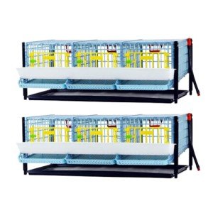 Jumbo Quail Breeding Cage Indoor: Double Layer Addition Quail Coops, Quail Pens Easy Clean, Rust-Free (2024 Upgrades: Longer Waste Trays, Removable Middle Wall, Jumbo Flooring) Cimuka by Hatching Time