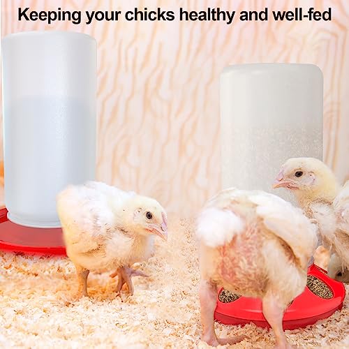 Automatic Chick Feeder and Waterer Kit