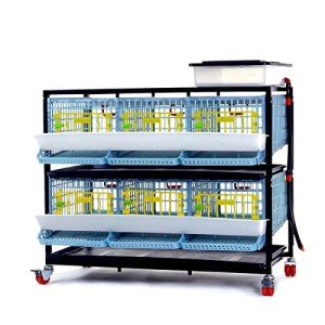 Quail Breeding Cage Indoor: 2 Layer Stackable Quail Coops, Quail Pens, Easy Clean, Rust-Free, Easy Egg Collection (2024 Upgrades: Longer Waste Tray, Removable Middle Walls) Cimuka by Hatching Time