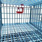 Jumbo Quail Breeding Cage Indoor: Double Layer Addition Quail Coops, Quail Pens Easy Clean, Rust-Free (2024 Upgrades: Longer Waste Trays, Removable Middle Wall, Jumbo Flooring) Cimuka by Hatching Time