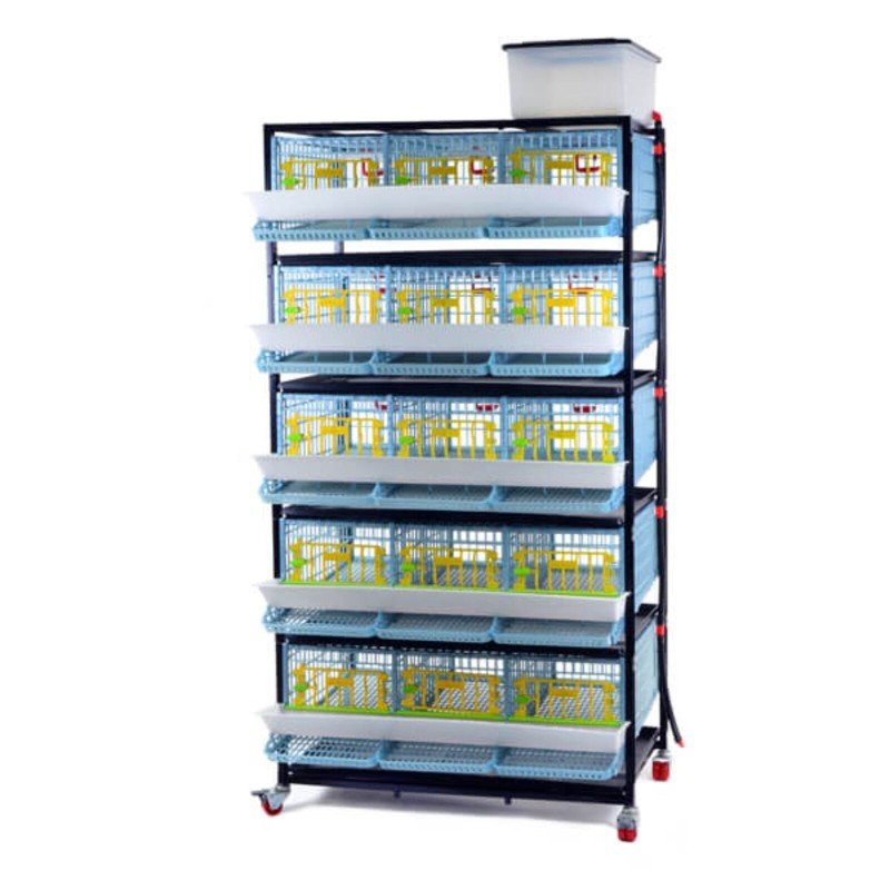 Quail Cage Battery