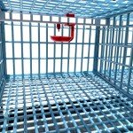 Quail Breeding Cage Indoor: 2 Layer Stackable Quail Coops, Quail Pens, Easy Clean, Rust-Free, Easy Egg Collection (2024 Upgrades: Longer Waste Tray, Removable Middle Walls) Cimuka by Hatching Time