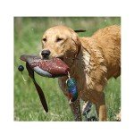 Avery Sporting Dog EZ-Bird Pheasant Training Dummy - 02008