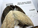 Undique Real Quail Wings for Dog Training 2 Pair