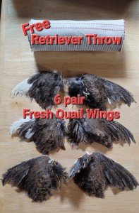 6 QUAIL Wings - Pointer  Retriever Hunting Bird Dog Training - FREE Dummy Throw