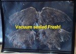 6 QUAIL Wings - Pointer  Retriever Hunting Bird Dog Training - FREE Dummy Throw