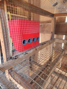 8x8 Quail Feeder