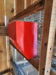 8x8 Quail Feeder