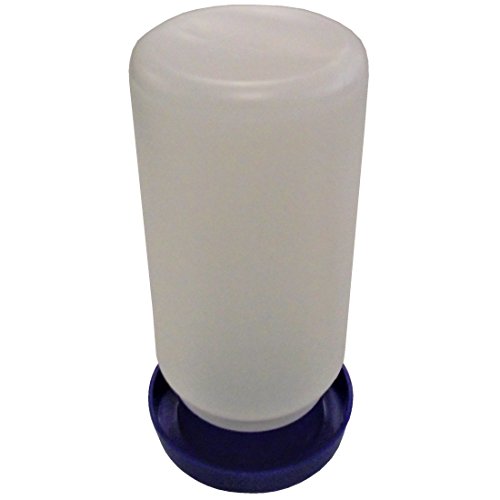 Quail Safety Waterer with Quart Jar Base
