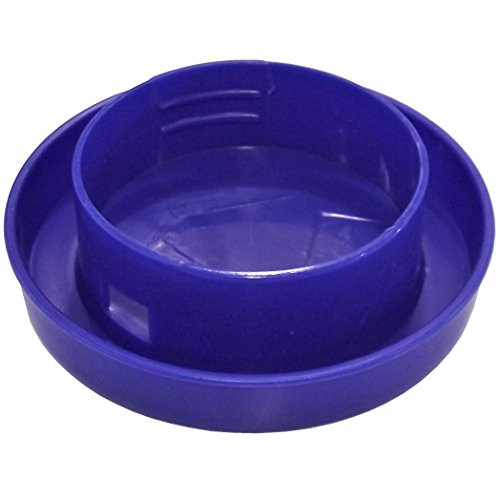 Quail Safety Waterer with Quart Jar Base