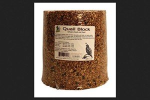 Quail Seed Block 15lb