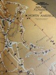 Water Prey Game Bird Of North America  Vintage Identification History 1965