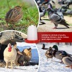 KHEARPSL 2Pcs Heated Chicken Waterer for Winter 6L Heated Poultry Waterer Automatic Chicken Water Feeder Dispenser Fountain Heated Waterer for Duck Chicken Birds