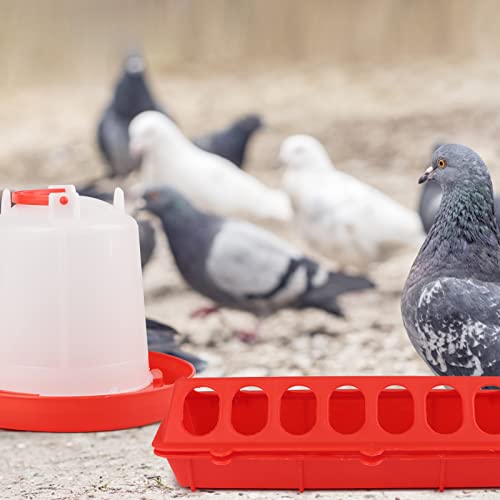 6-Pack Flip Top Small Poultry Feeder Set