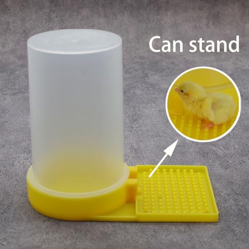 Yellow Water Feeder for Baby Button Quail