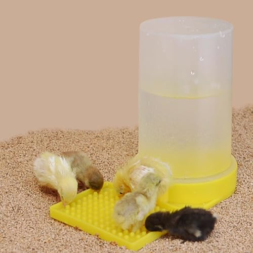 Yellow Water Feeder for Baby Button Quail