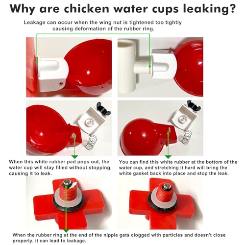 Automatic Poultry Waterer System with PVC Kit