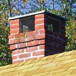 Garden Zone 36 Inches x 25 Feet - 1 x 2-Inch Openings, 14-Gauge - Galvanized Welded Wire Fencing - For Cages and Fencing for Rabbits, Gardens, Cattle Panels