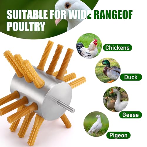 Medium Domestic Quail and Poultry Plucker Attachment