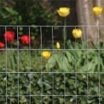 YardGard Welded Wire 1/2X1 Inch Mesh 36 Inch X 100 Foot 16 Gauge Galvanized Steel Wire Fence Ideal for Animal Enclosures, Cage Wire, Property Protection, Garden Fence, Rabbit Fence, and Utility Fence