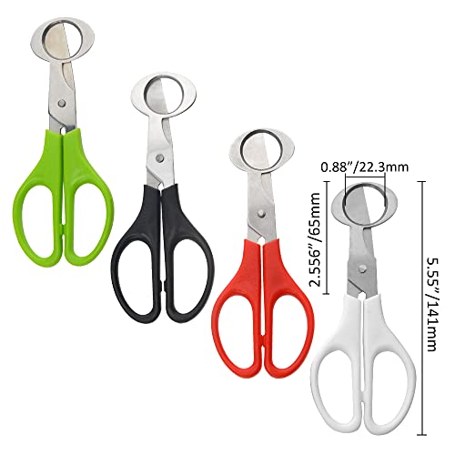 Stainless Steel Quail Egg Cutter Scissors - 24 Pack