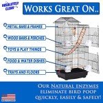 Absolutely Clean Amazing Bird Cage Cleaner and Deodorizer - Just Spray/Wipe - Safely & Easily Removes Bird Messes Quickly and Easily - Made in The US 16oz (Pack of 2)