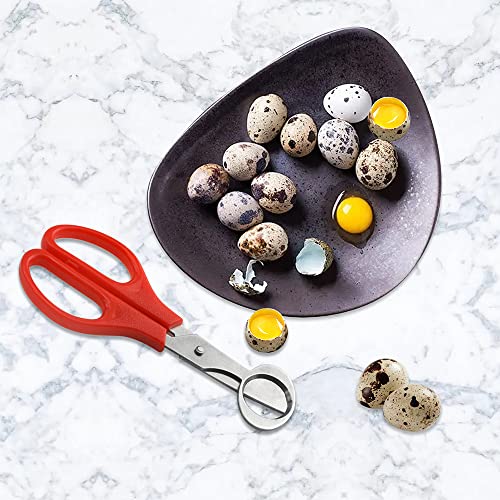 Stainless Steel Quail Egg Cutter Scissors - 24 Pack